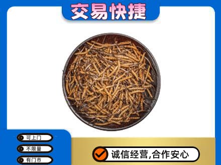 灞桥区回收散虫草